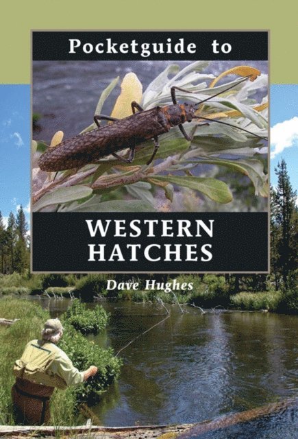 Dave Hughes - Pocketguide to Western Hatches, E-bok