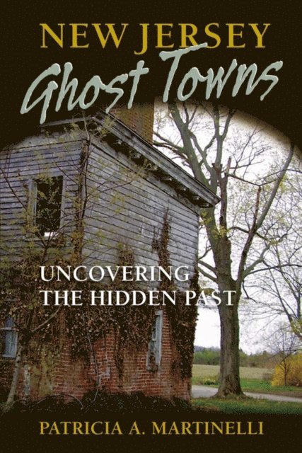 Patricia A. Martinelli - New Jersey Ghost Towns, E-bok