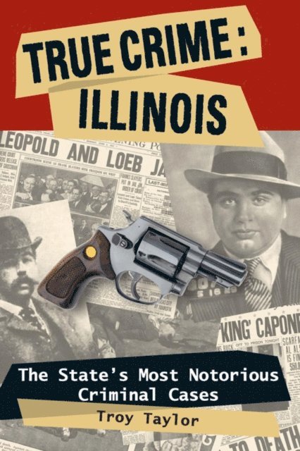 Troy Taylor - True Crime: Illinois, E-bok