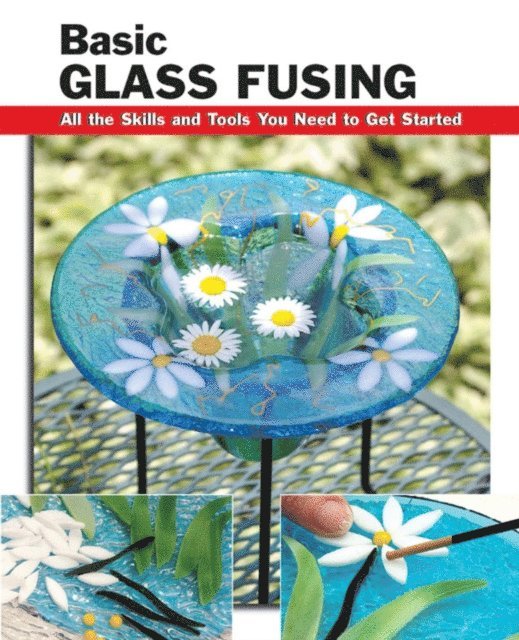 Lynn Haunstein - Basic Glass Fusing, E-bok