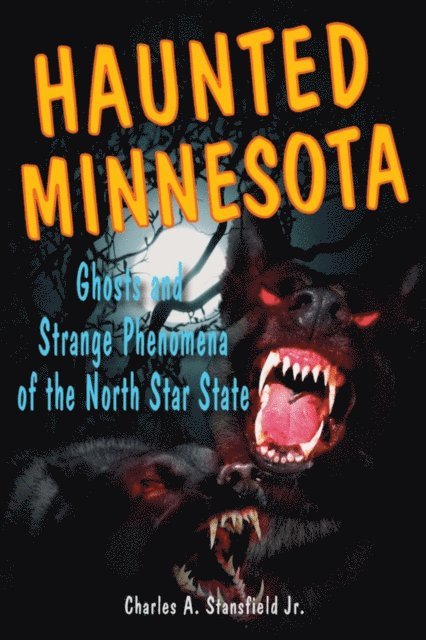 Charles A. Stansfield - Haunted Minnesota, E-bok