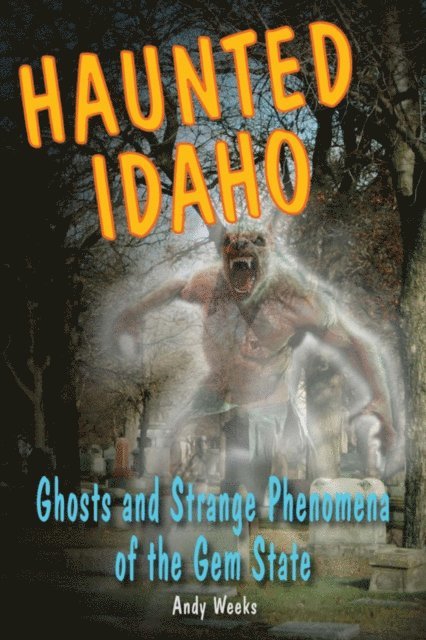 Andy Weeks - Haunted Idaho, E-bok