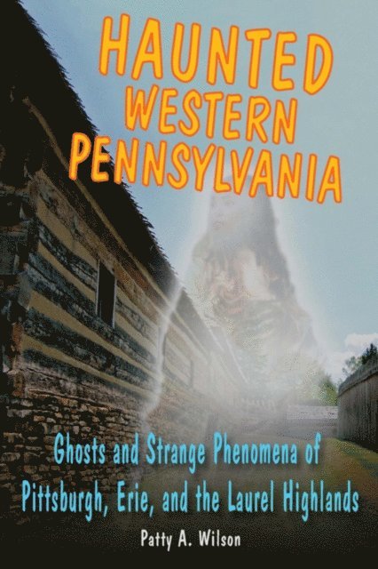 Patty A. Wilson - Haunted Western Pennsylvania, E-bok