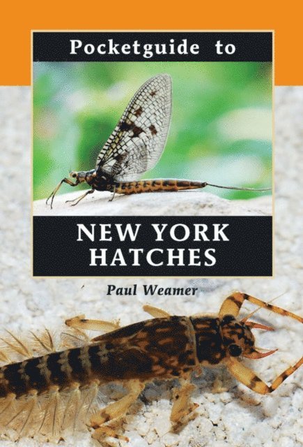 Paul Weamer - Pocketguide to New York Hatches, E-bok