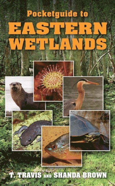 Shanda Brown, T. Travis - Pocketguide to Eastern Wetlands, E-bok