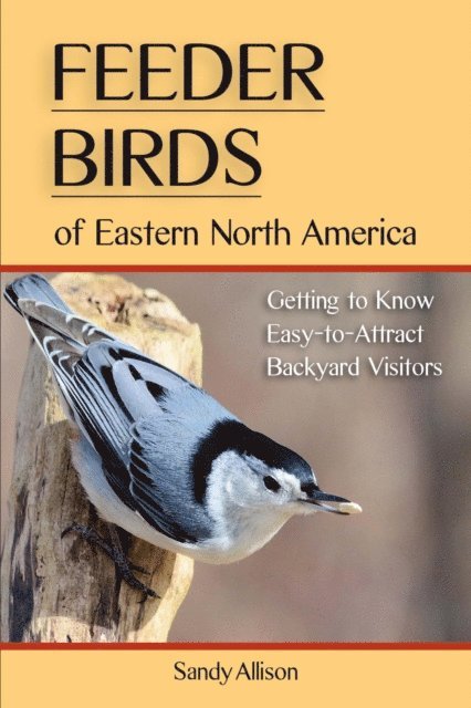 Sandy Allison - Feeder Birds of Eastern North America, E-bok