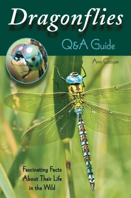 Ann Cooper - Dragonflies: Q&A Guide, E-bok