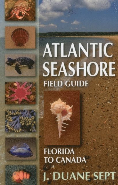 J. Duane Sept - Atlantic Seashore Field Guide, E-bok. Tillgänglighet: Lägg i varukorg
