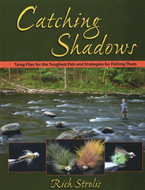 Rich Strolis - Catching Shadows, E-bok