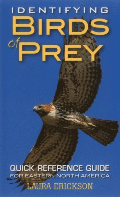 Laura Erickson - Identifying Birds of Prey, E-bok