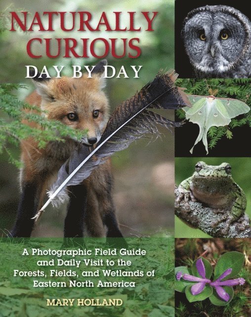Mary Holland - Naturally Curious Day by Day, E-bok