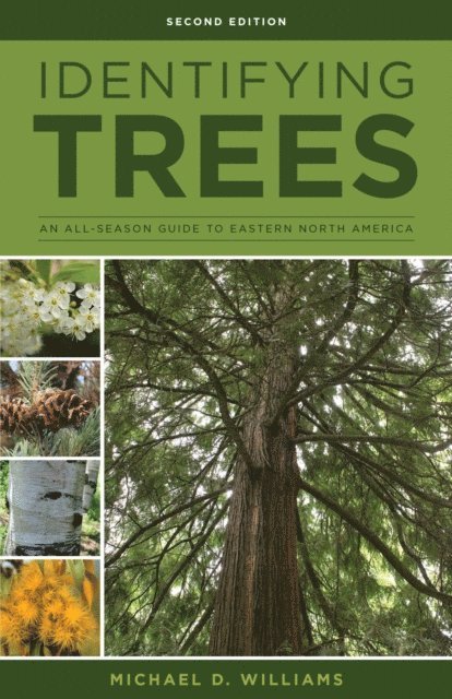 Michael D. Williams - Identifying Trees of the East, E-bok