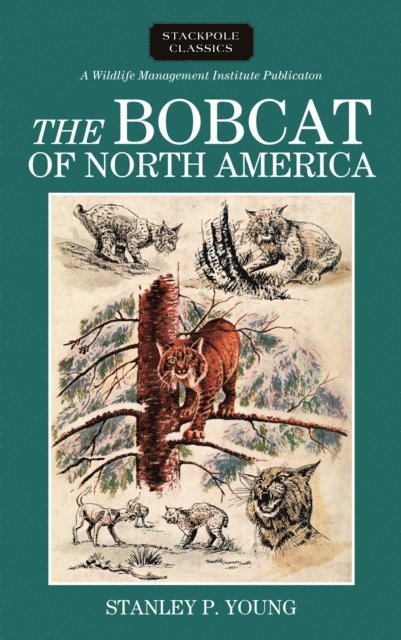 Stanley P. Young - Bobcat of North America, E-bok