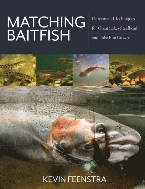 Kevin Feenstra - Matching Baitfish, E-bok. Tillgänglighet: Lägg i varukorg