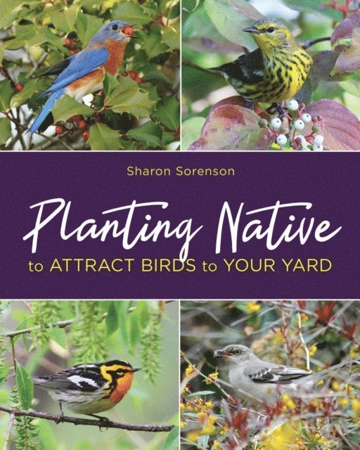 Sharon Sorenson - Planting Native to Attract Birds to Your Yard, E-bok. Tillgänglighet: Lägg i varukorg
