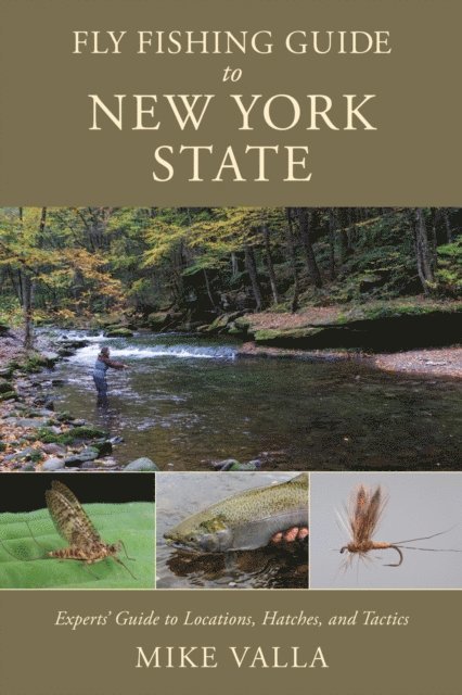 Mike Valla - Fly Fishing Guide to New York State, E-bok