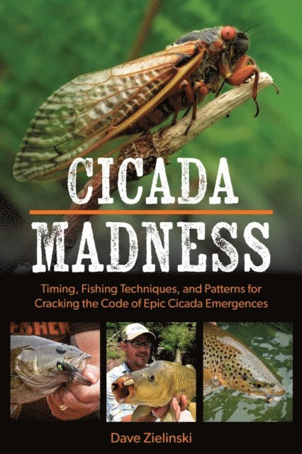 Dave Zielinski - Cicada Madness, E-bok. Tillgänglighet: Lägg i varukorg
