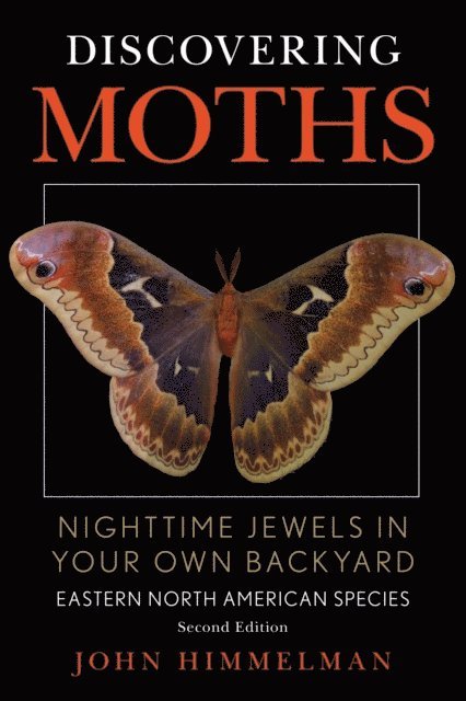 John Himmelman - Discovering Moths, E-bok