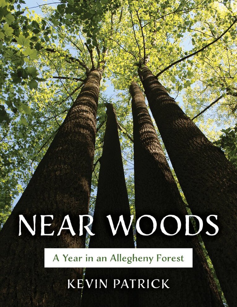 Kevin Patrick - Near Woods, Häftad. Tillgänglighet: Lägg i varukorg