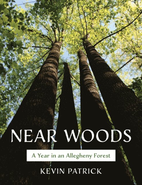 Kevin Patrick - Near Woods, E-bok. Tillgänglighet: Lägg i varukorg
