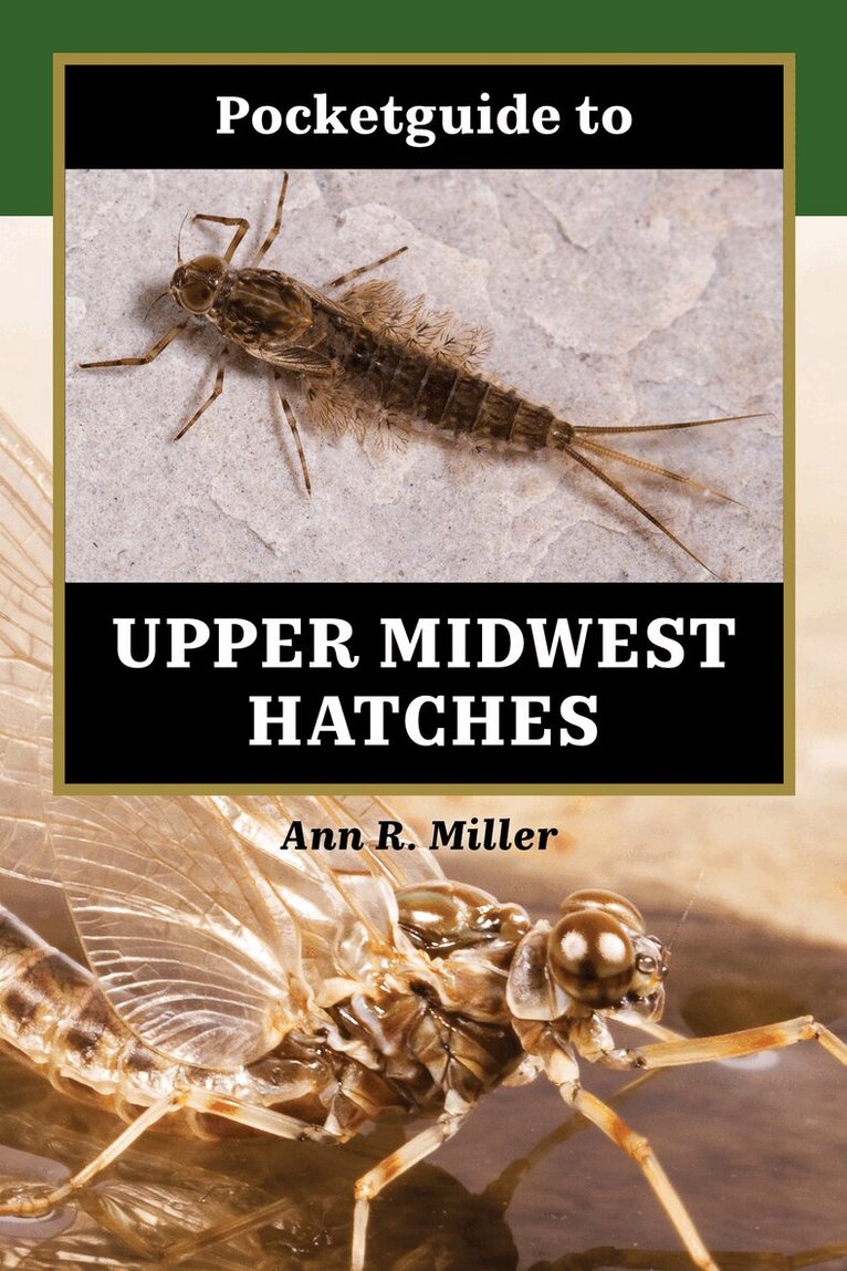 Ann R. Miller - Pocketguide to Upper Midwest Hatches, Inbunden