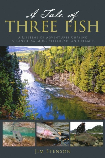 Jim Stenson - Tale of Three Fish, E-bok. Tillgänglighet: Lägg i varukorg