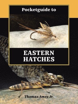Thomas Ames Jr. - Pocketguide to Eastern Hatches, Häftad