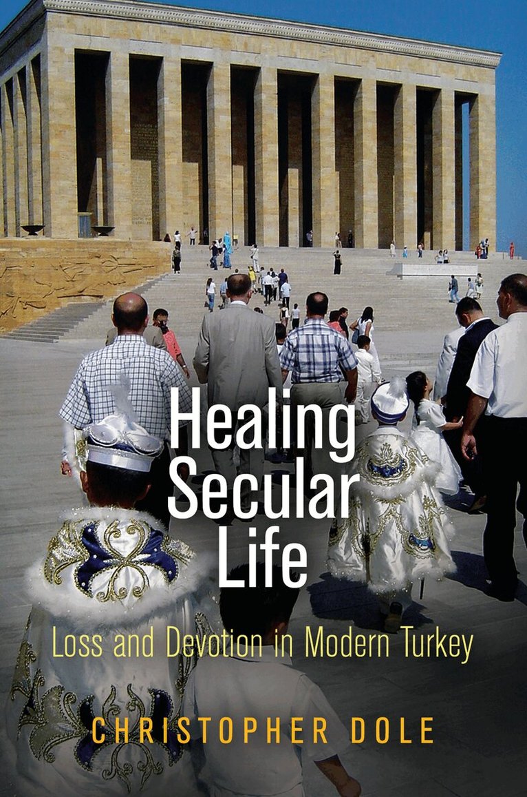 Christopher Dole - Healing Secular Life, E-bok