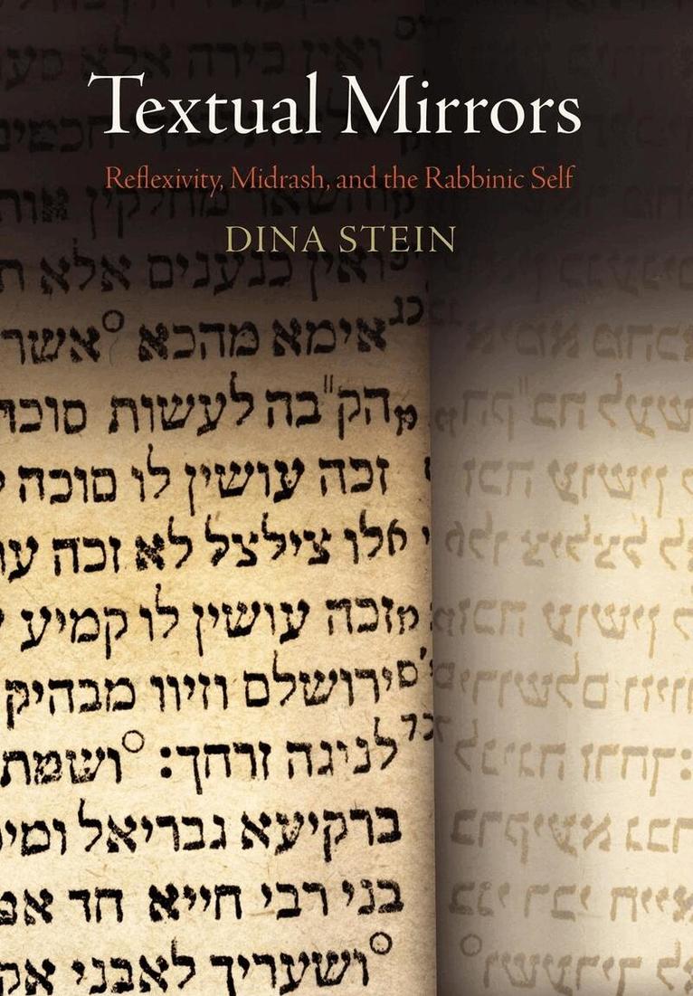 Dina Stein - Textual Mirrors, Inbunden
