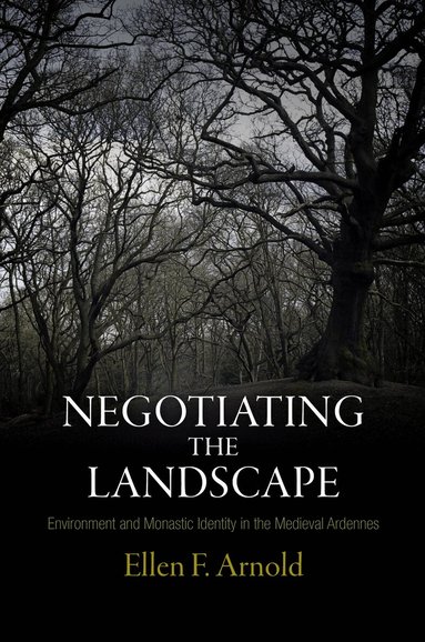 Negotiating the Landscape by Ellen F Arnold, Ellen F Arnold