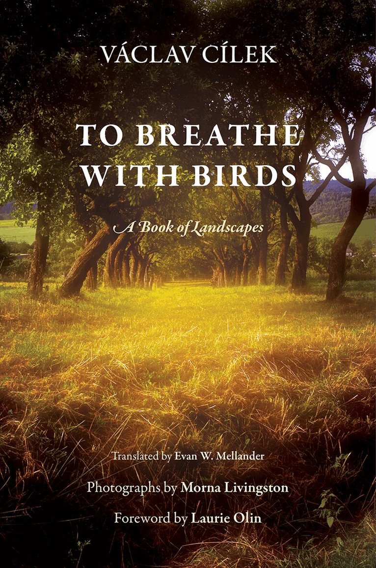Václav Cílek - To Breathe with Birds, E-bok