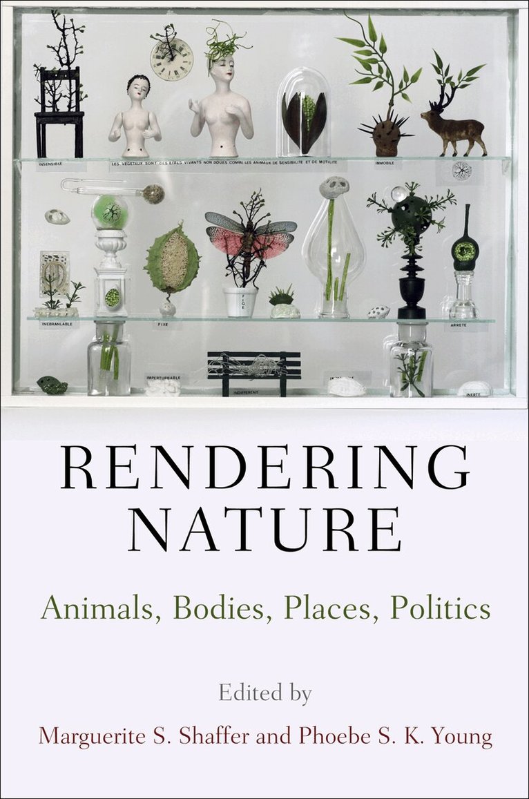 Marguerite S. Shaffer, Phoebe S. K. Young - Rendering Nature, E-bok