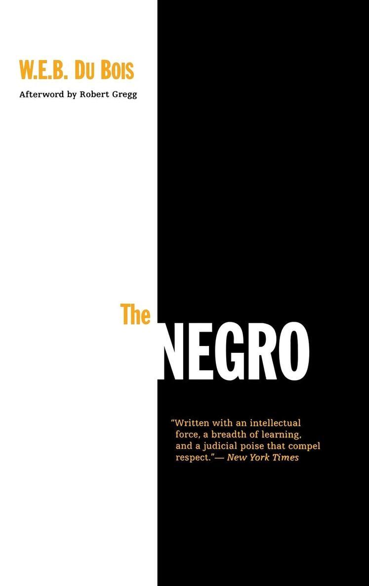 W. E. B. Du Bois - Negro, E-bok