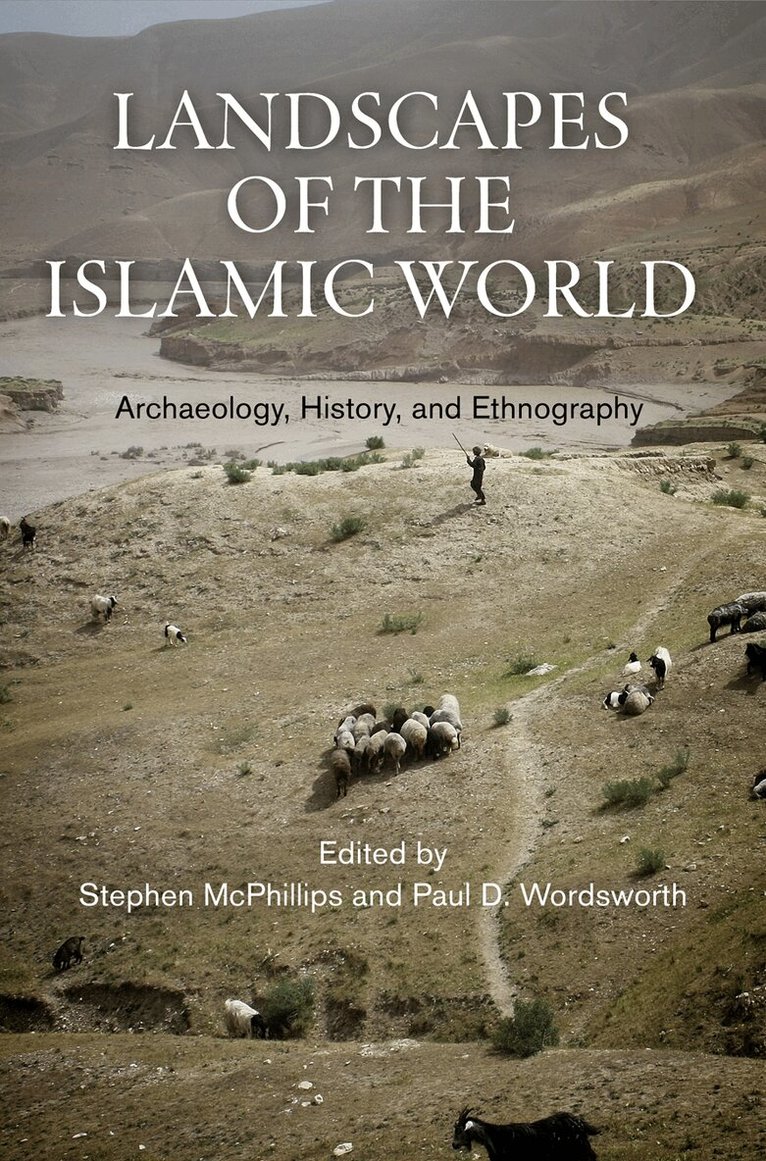 Stephen McPhillips, Paul D. Wordsworth - Landscapes of the Islamic World, E-bok