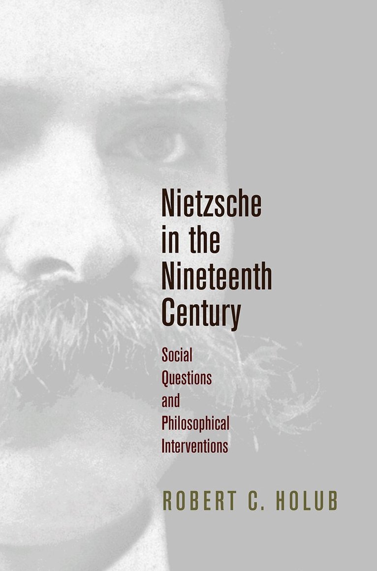 Robert C. Holub - Nietzsche in the Nineteenth Century, E-bok