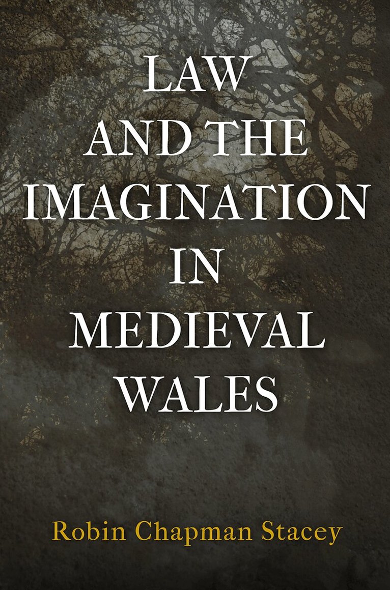 Robin Chapman Stacey - Law and the Imagination in Medieval Wales, E-bok