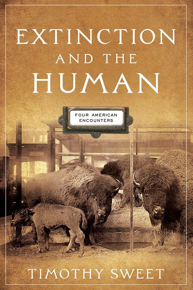 Timothy Sweet - Extinction and the Human, E-bok