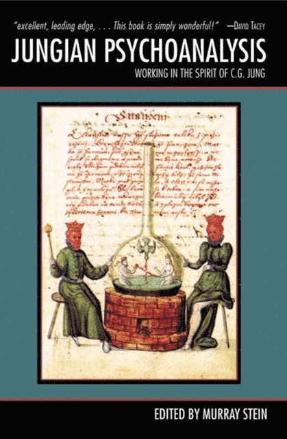 Murray Stein - Jungian Psychoanalysis, E-bok