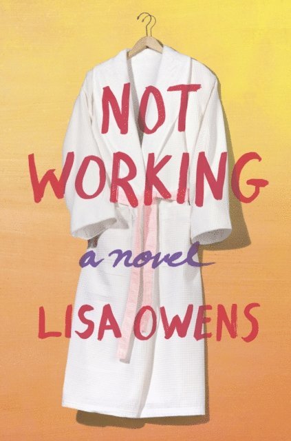 Lisa Owens - Not Working, E-bok