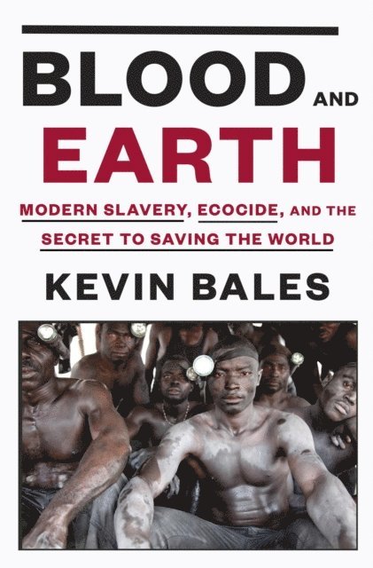 Kevin Bales - Blood and Earth, E-bok