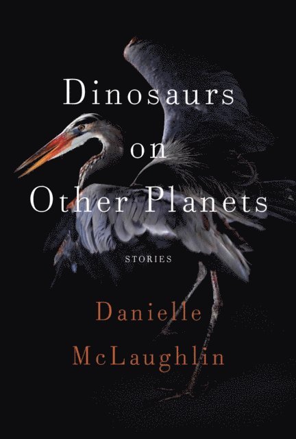 Danielle McLaughlin - Dinosaurs on Other Planets, E-bok
