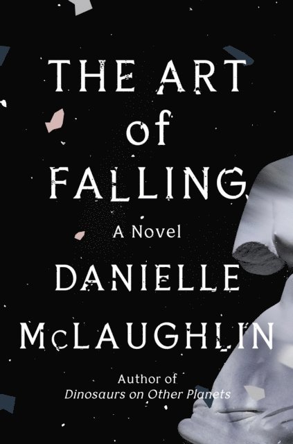 Danielle McLaughlin - Art of Falling, E-bok