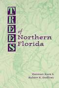 Trees of Northern Florida
