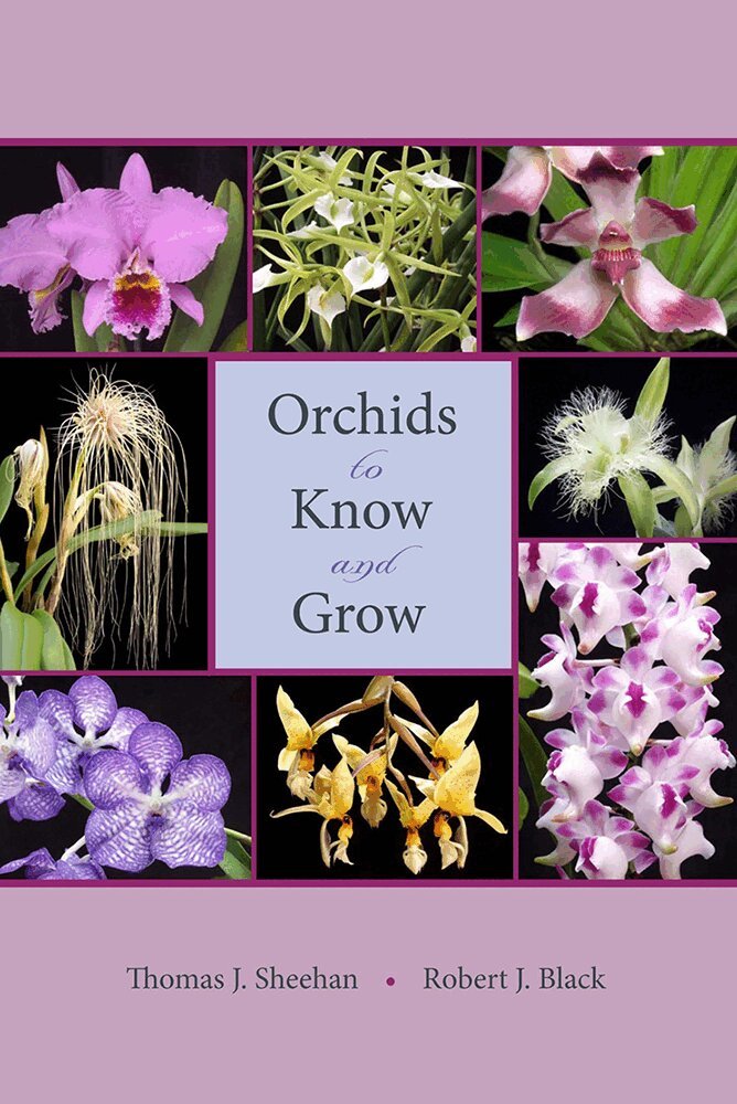 Thomas J. Sheehan, Robert J. Black - Orchids to Know and Grow, Häftad. Tillgänglighet: Tillfälligt slut