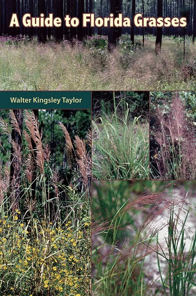 Walter Kingsley Taylor - Guide to Florida Grasses, Inbunden. Tillgänglighet: Lägg i varukorg