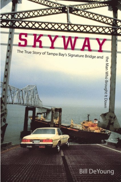 Bill DeYoung - Skyway, E-bok