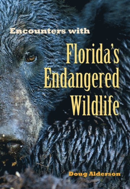 Doug Alderson - Encounters with Florida's Endangered Wildlife, E-bok. Tillgänglighet: Lägg i varukorg