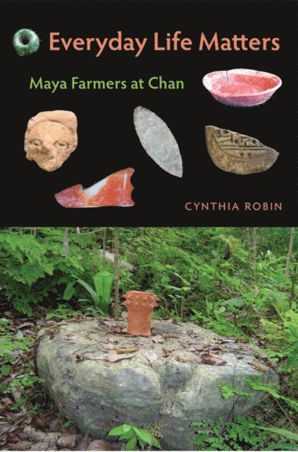 Cynthia Robin - Everyday Life Matters, E-bok