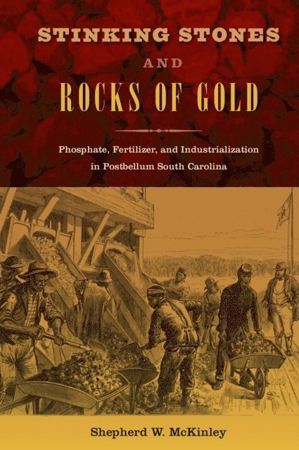 Shepherd W. McKinley - Stinking Stones and Rocks of Gold, E-bok