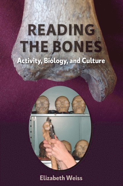 Elizabeth Weiss - Reading the Bones, E-bok